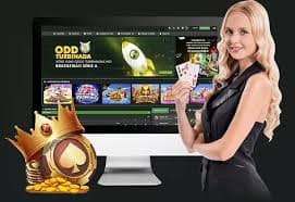 Sic Bo betting interface showing bet types and payout ratios on bersama4d link